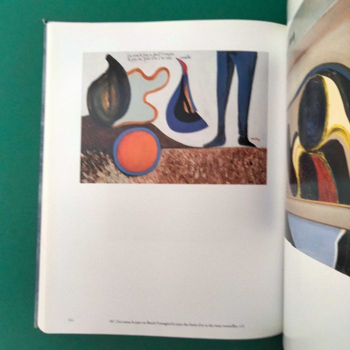 Mário Cesariny - João Lima Pinharda