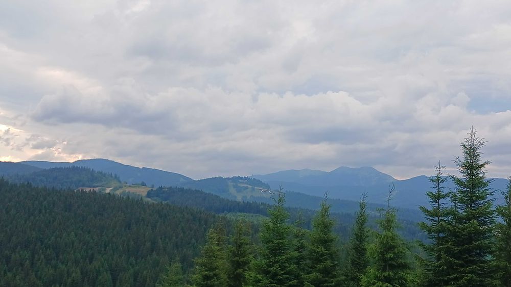 Продаж ексклюзивної земельної ділянки 2 Га в Карпатах із панорамою на Говерлу та Петрос