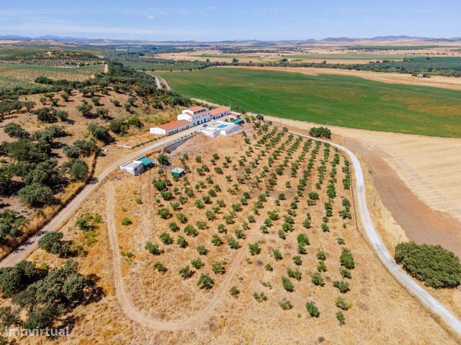 Quinta em Campo Maior, para investimento em turismo rural ...