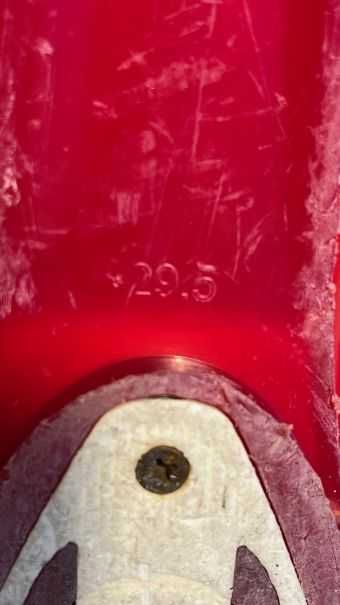 Buty narciarskie Lange Fluid 120 Limited 29.5 + torba Atomic