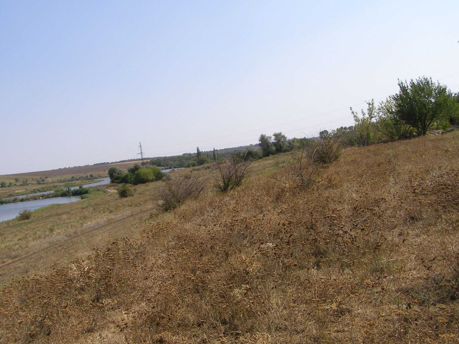 Продається земельна ділянка  с.Бережинка.