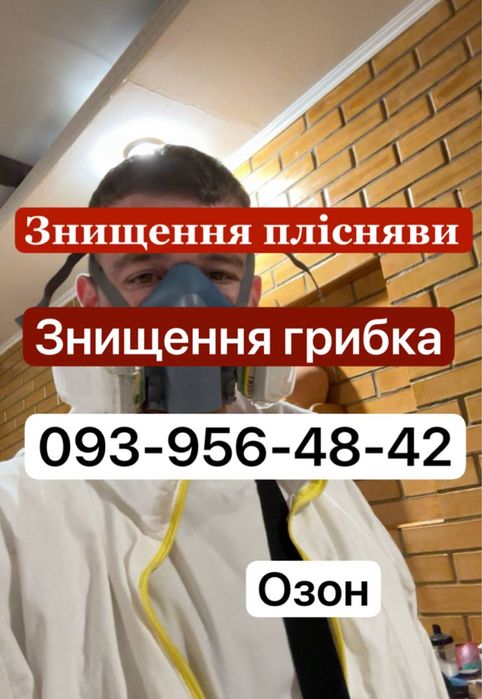 Знищення грибка , плісняви з гарантіею 3 роки. Удаление плесени грибок