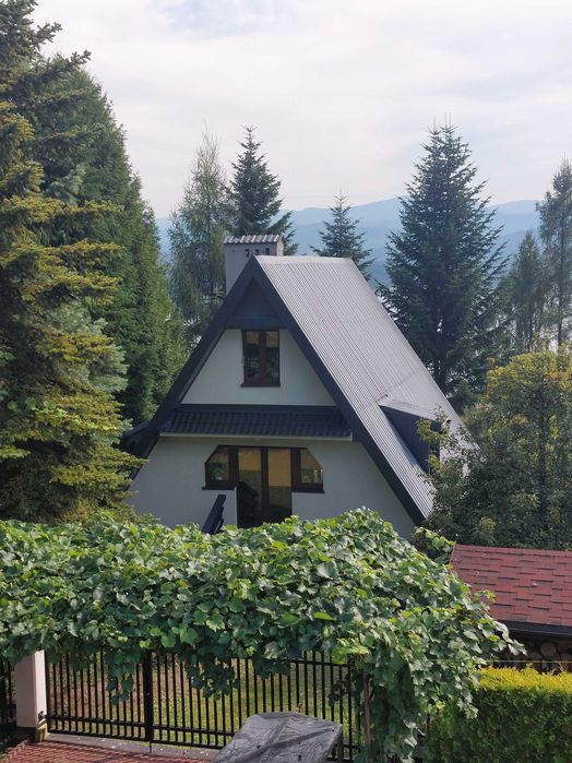 Malowanie dachów, Malowanie elewacji, Wymiana rynien i wycinka drzew