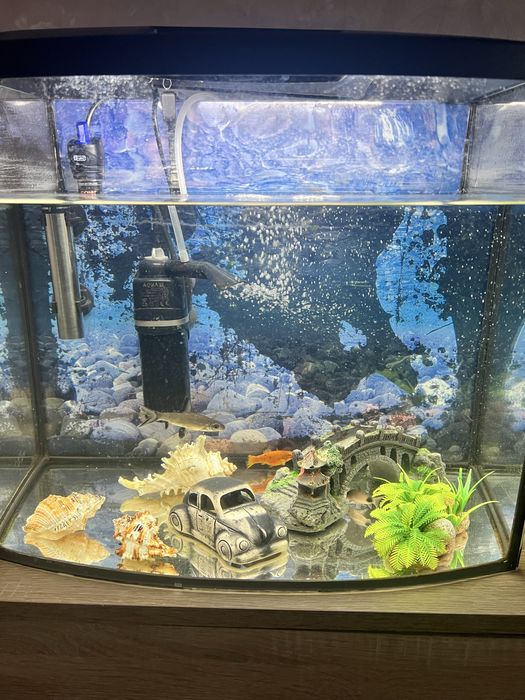 Акваріум 30 літрів , рибки, дікорації