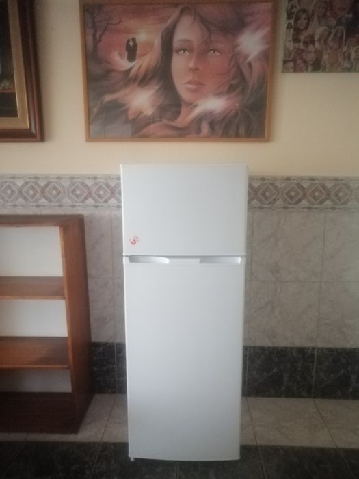 Frigorífico electronia com 4 meses sem uso