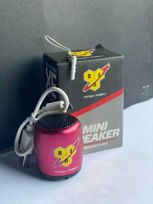 Coluna Portátil BSN