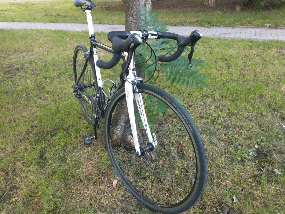 Szosa Fuji Acr 2.0 roubaix koła 28 karbon
