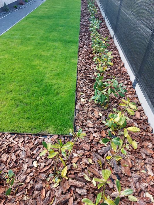 Kora sosnowa Ziemia ogrodowa uniwersalna Torf kwaśny Kompost