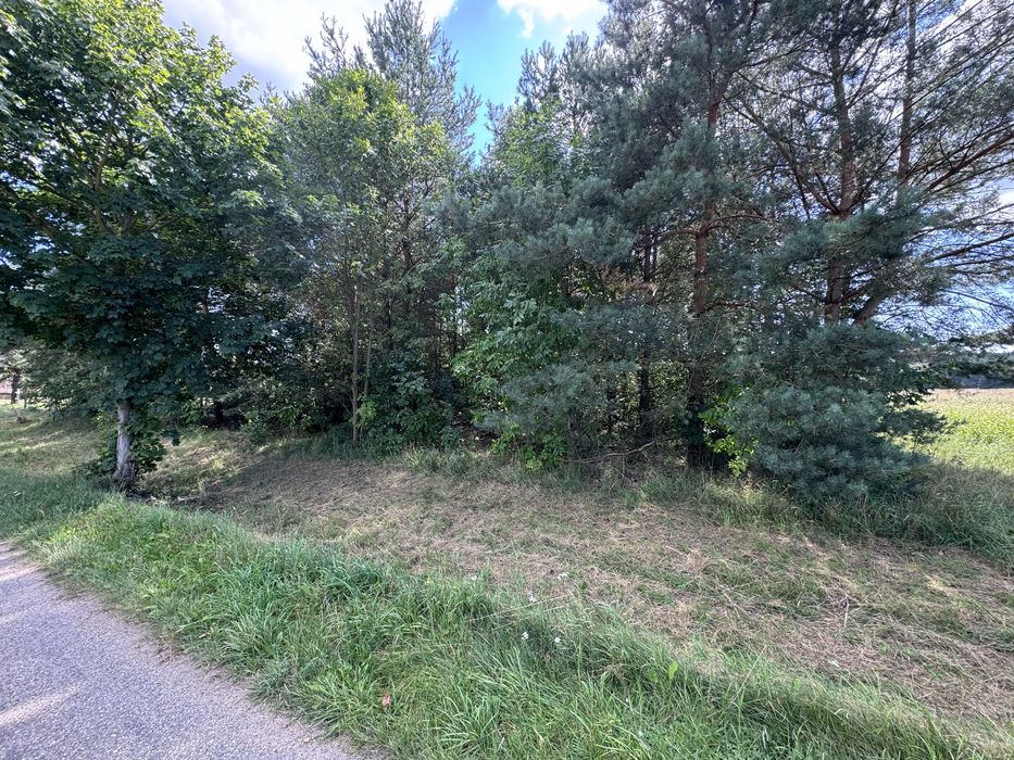 Działka Lewiczyn