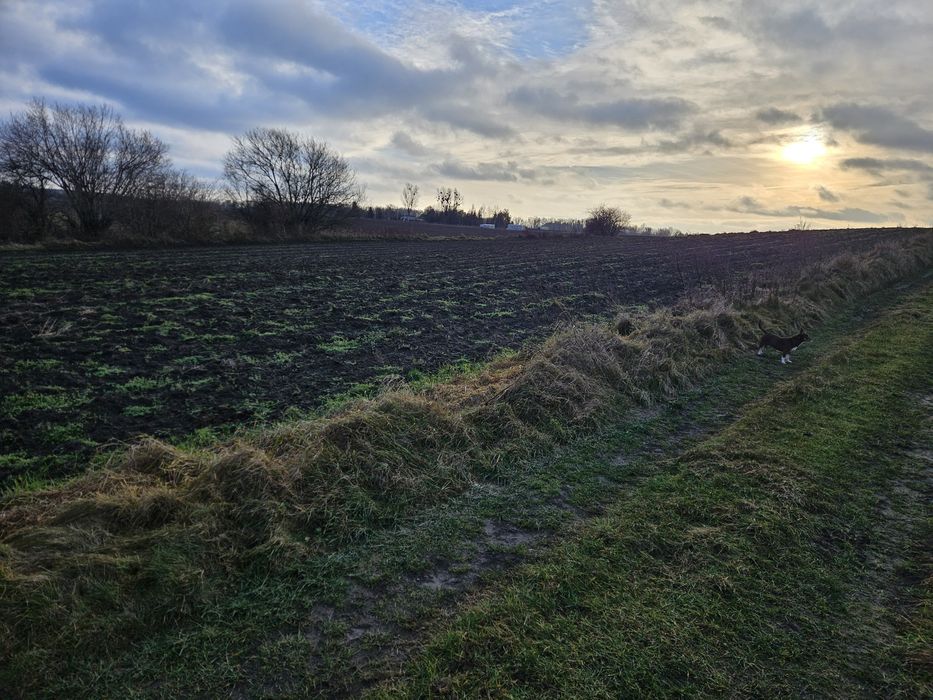 Działki Zwierzewo Mazury