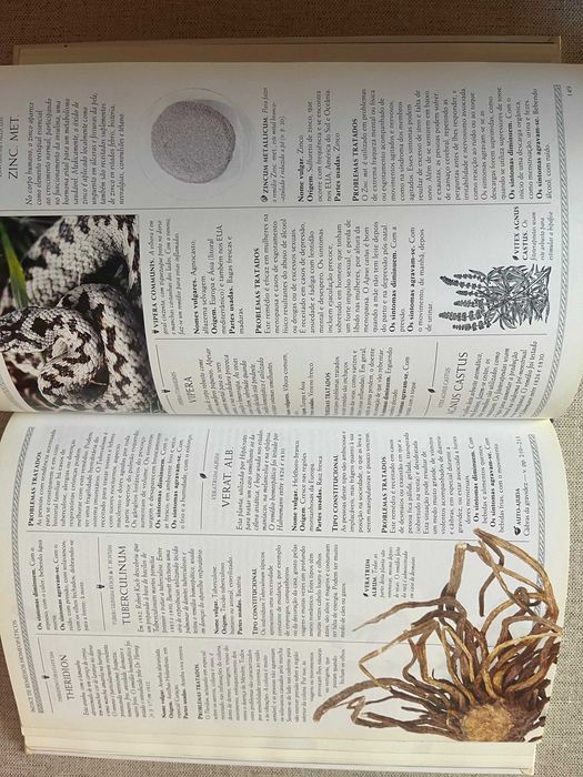 Guia completo de Homeopatia
