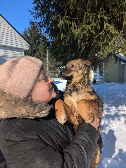 Щеня Стася шукає родину