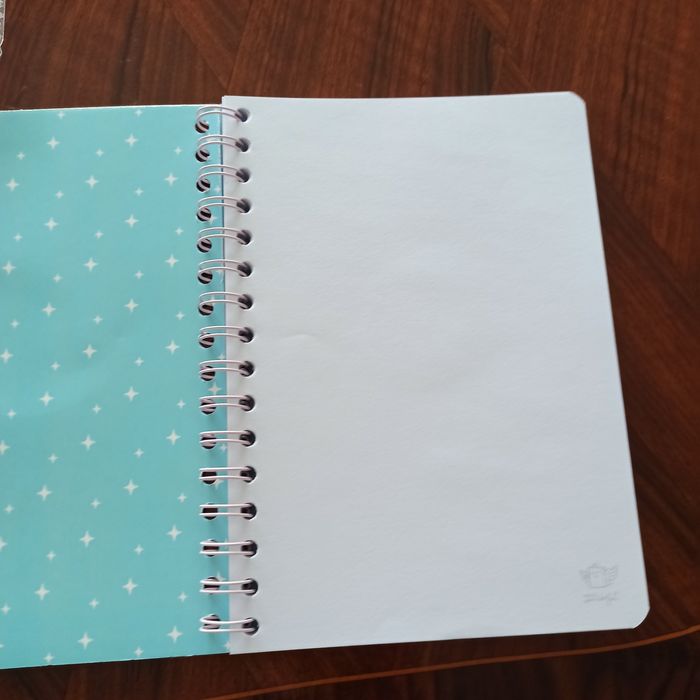 Caderno "mr. Wonderful"