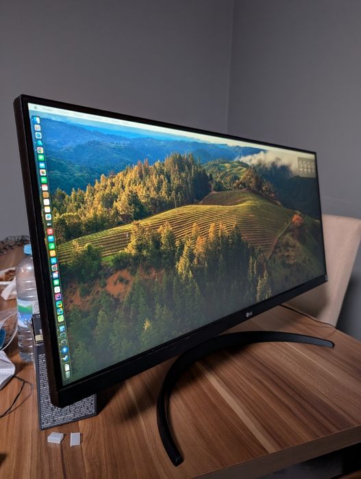 Monitor LG 29WP500 ultrawide 29