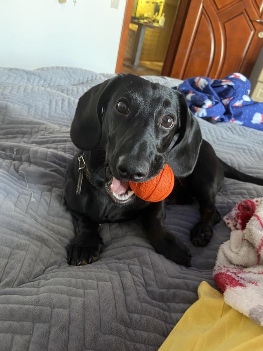 Вʼязка такси