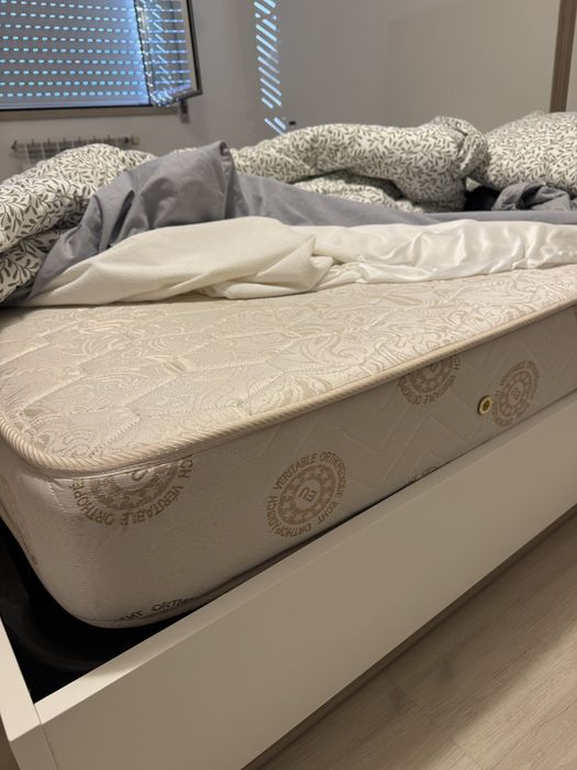 Conjunto cama e colchão