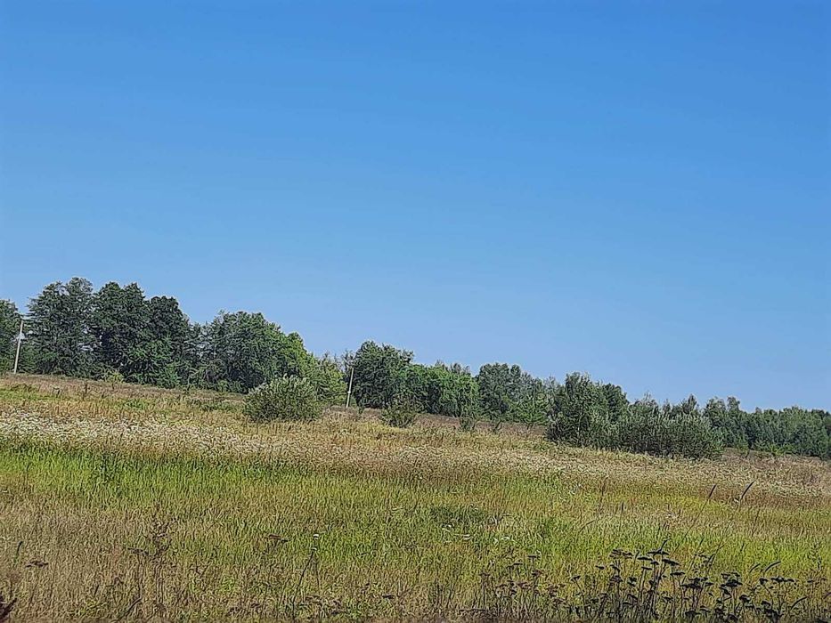 Шпилі, цегляний будинок 73 кв.м.  Поруч ліс і річка