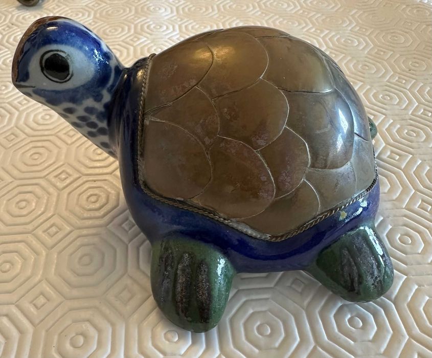Mexican Turtle445522611663032320