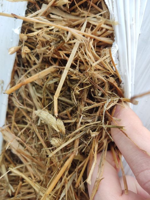 Sprzedam bele sianokiszonki, sianokiszonka