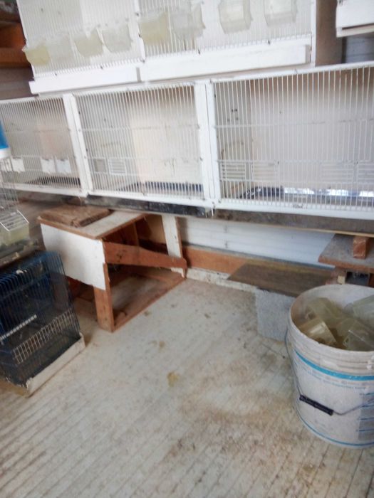 Gaiolas para criação de Canários