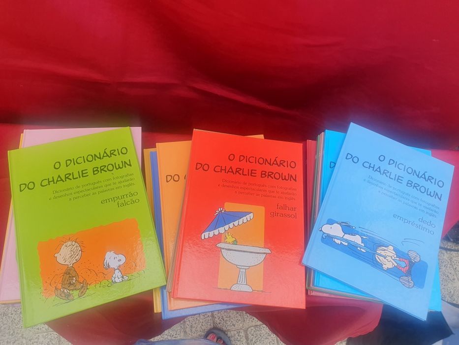Conjunto de livros