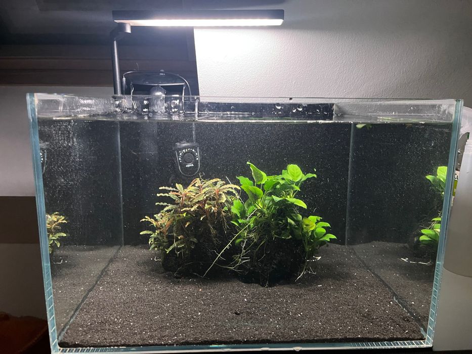 Zestaw akwarium 38l dużo dodatków