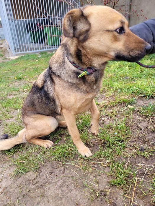 Cudowna, delikatna ARISA i jej rozpacz