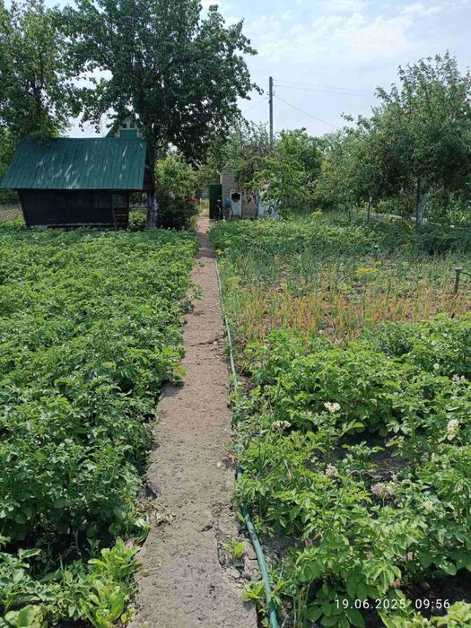 Дача 6 соток в СО «Рассвет» | Химмашевские дачи | домик, свет, беседка