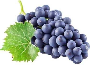 Vendo uvas na zona de Mirandela de varias qualidades