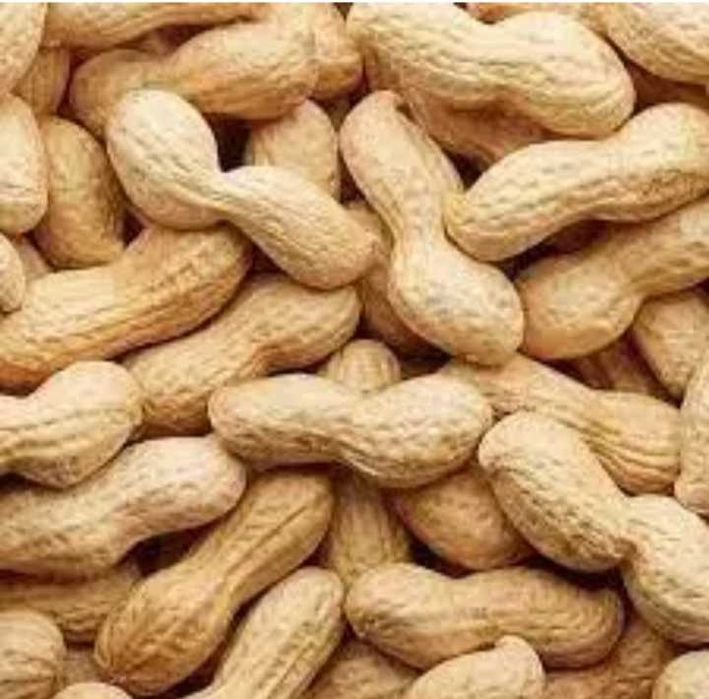 Продам арахіс якісні сорти