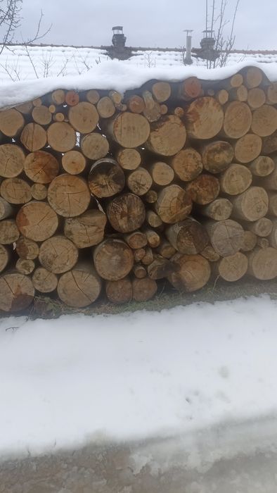 Дрова бук сухі і сирі під камін, котел, печі, дрібний і грубий покол