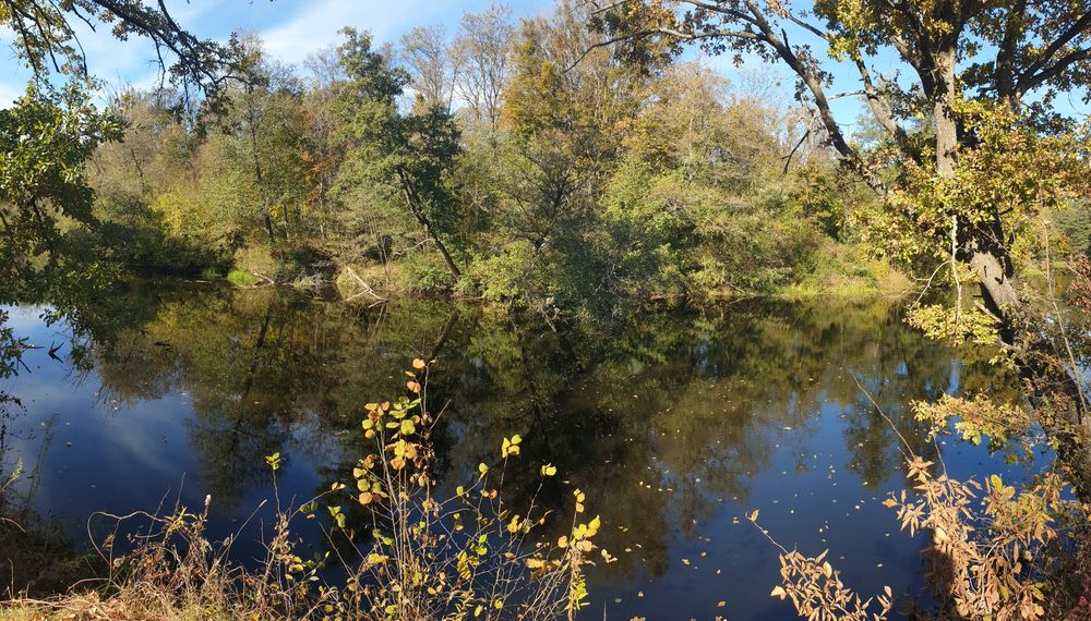 Продається земельна ділянка 12 сот біля річки в Денишах – місце, де природа надихає!