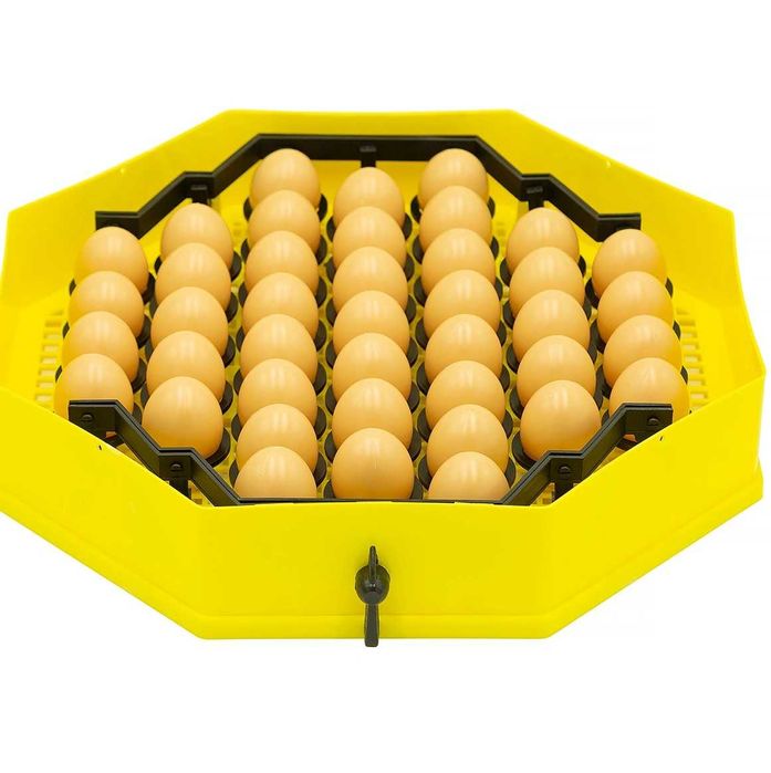 Moduł zwiększający pojemność inkubatorów CLEO5 i iBator Home 60