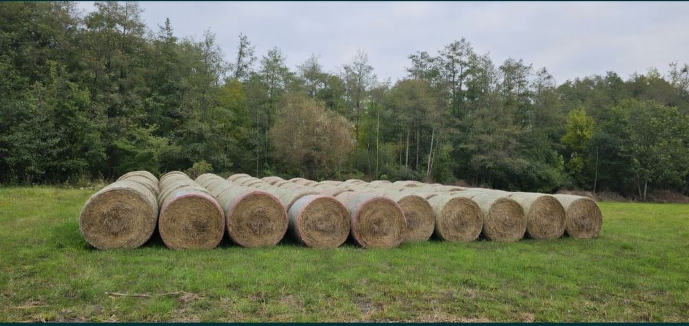 Sprzedam słomę pszenną