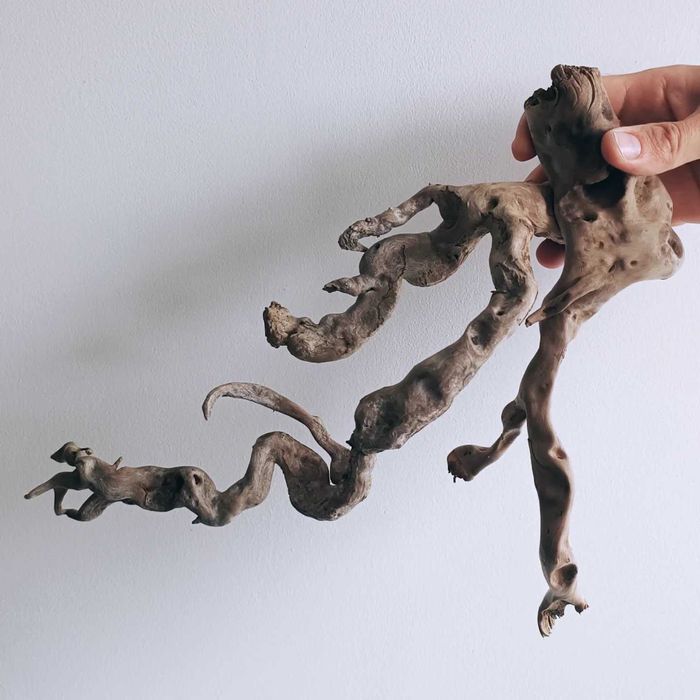 Корчі, коряги, декорації для акваріума/тераріума