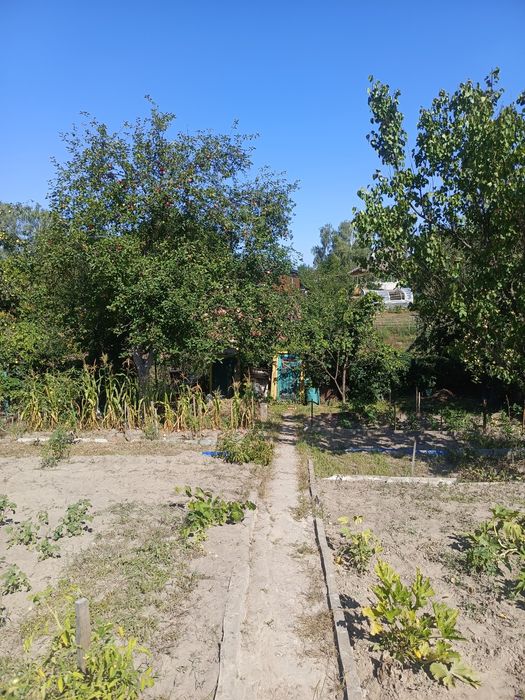 Продаж Дачі Обласна лікарня ст "Берізка"