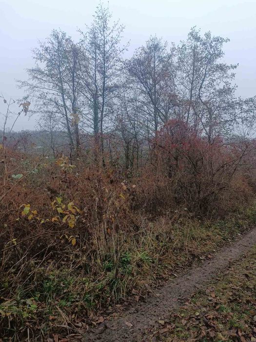 Ділянка під садівництво