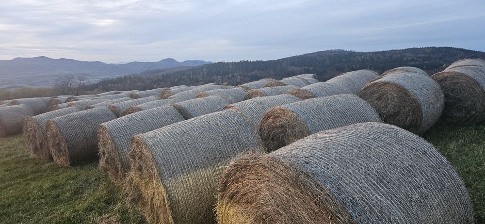 Siano z pola, TRANSPORT