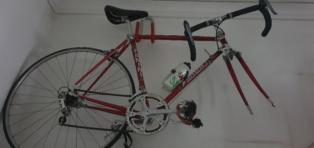 Rower 1976 Faninni