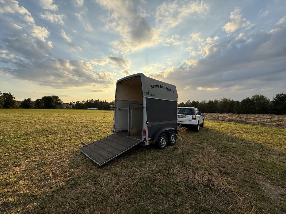Przyczepa do przewozu koni konna zwierząt humbaur  rapid koniowóz