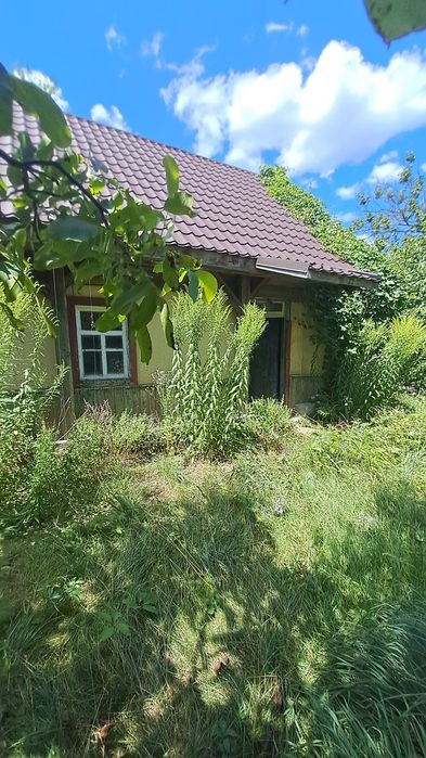 Будинок з газом в Козинці по центральній вулиці