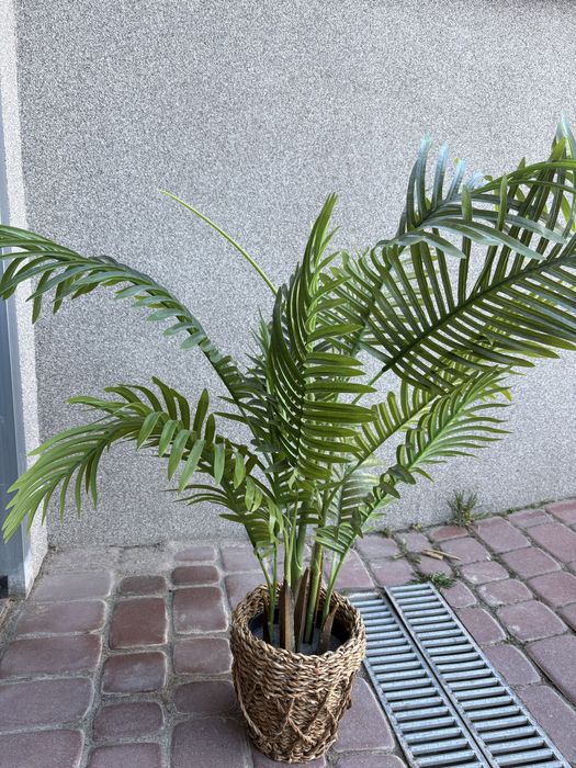 Palma sztuczna kwiat