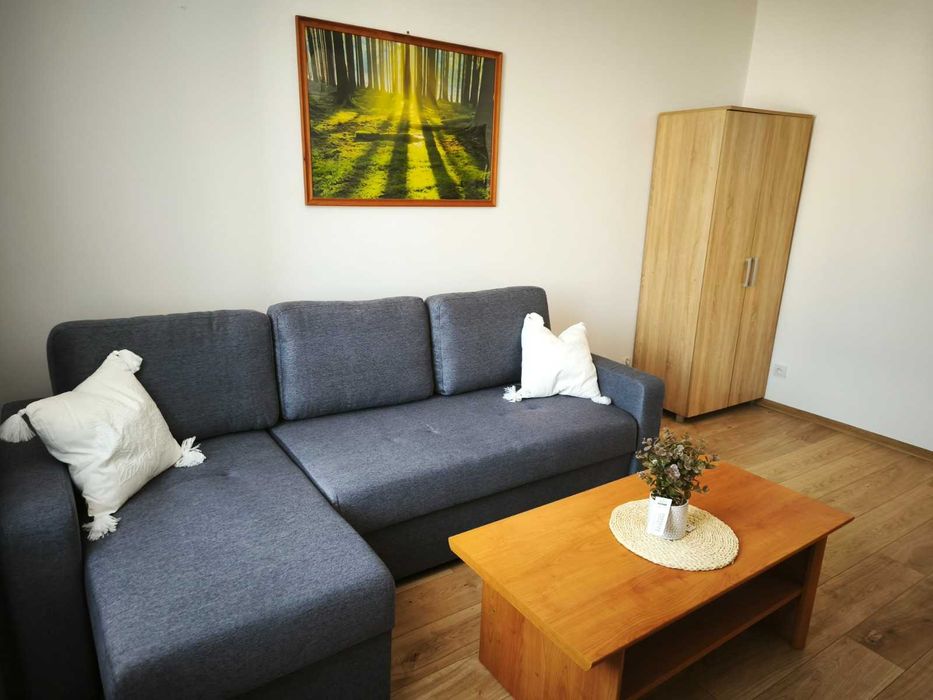 Kawalerka do wynajęcia, Gołonóg