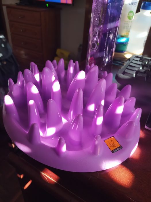 Comedouro Anti-Voracidade