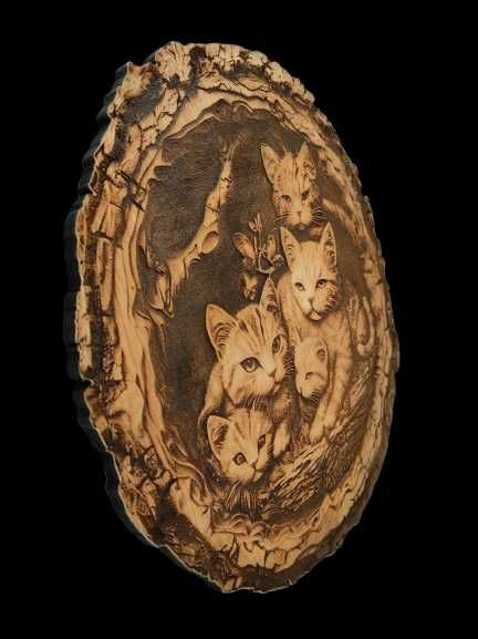 Kotki obraz wypalany w drewnie 3d iluzja