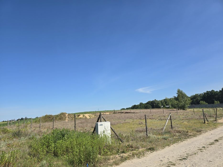 Zdjęcie 6