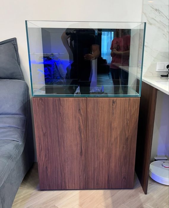 Морський акваріуми під ключ: дизайн, проектування, виробництво