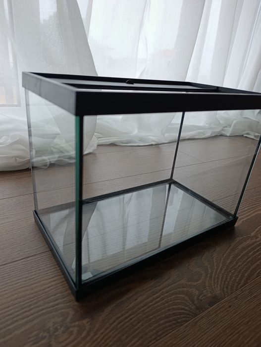 Aquário para peixes