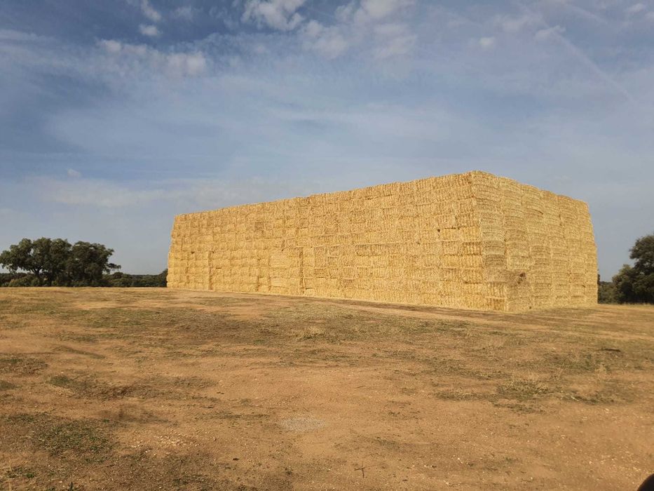Venda de Palha Branca de Boa Qualidade