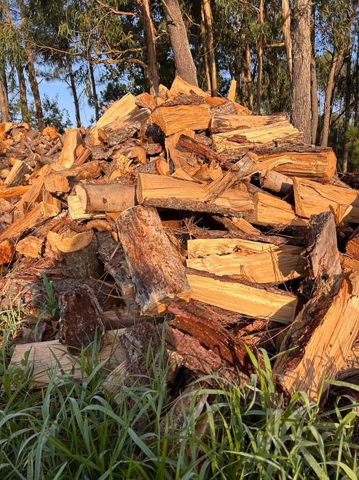 Vendo todo o tipo de lenha